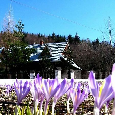 Goralska Czarcia Chata Pod Jalowcem Stryszawa Eksteriør bilde